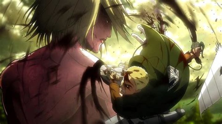 Why is the female Titan called the female Titan?