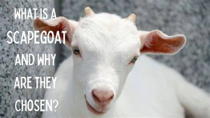 Why is the scapegoat chosen?