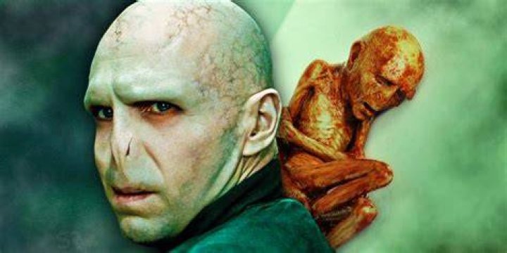 Why is there a baby Voldemort when Harry died?