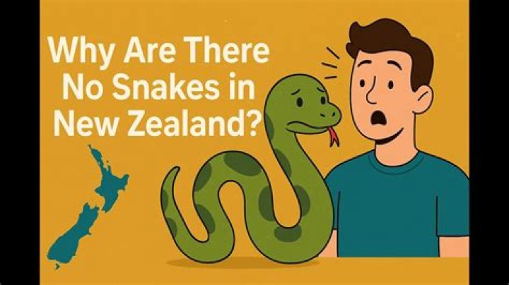 Why there is no snakes in New Zealand?