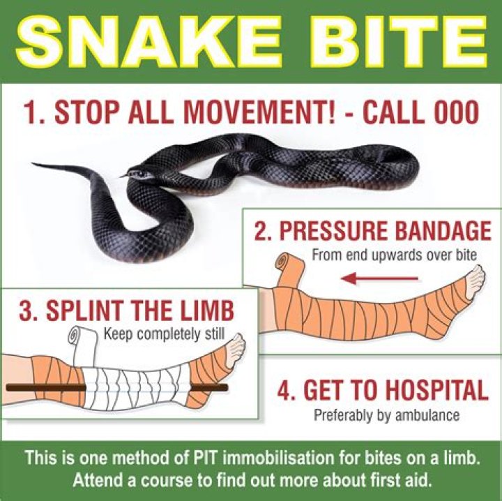 Why we should not sleep after snake bite?