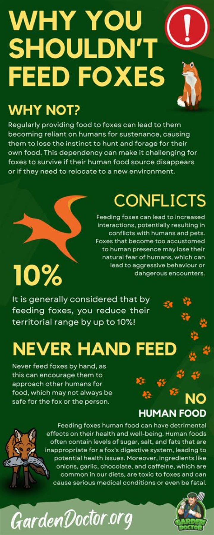 Why you should not feed foxes?