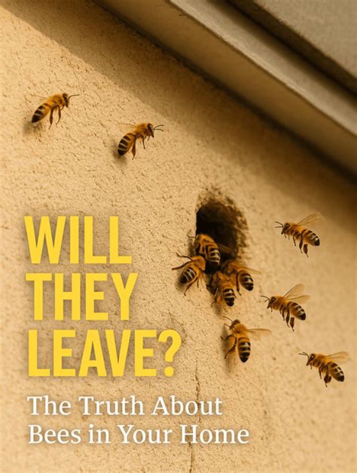Will ants leave on their own?