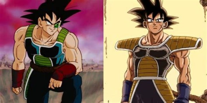 Will Goku meet Bardock?