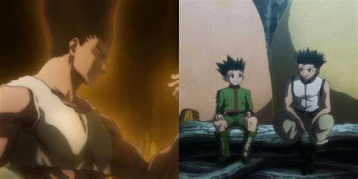 Will Killua and Gon meet again?