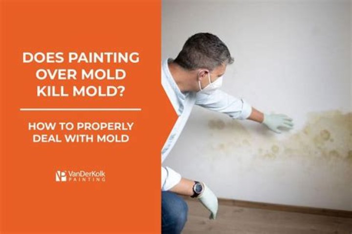 Will mold bleed through paint?