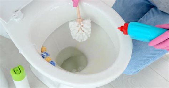Will vinegar clean toilet Jets?